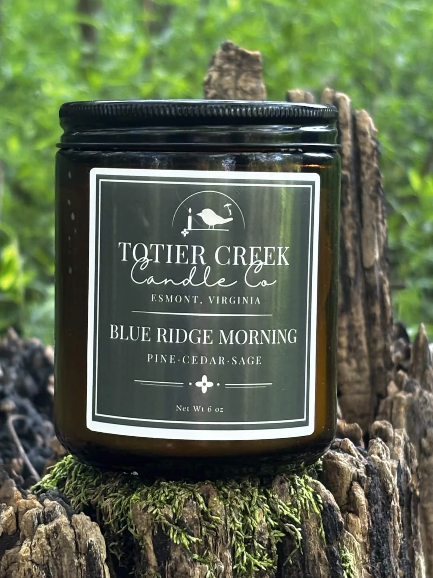 Blue Ridge Morning candle in an amber jar on a mossy stump in the woods