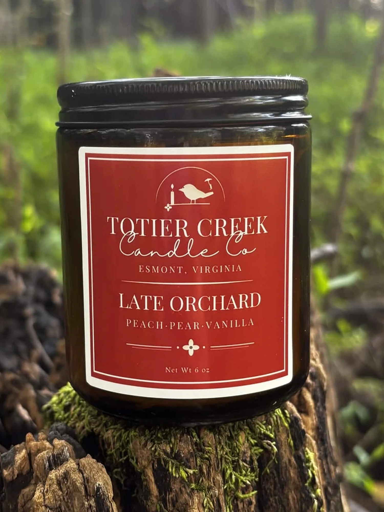 Late Orchard candle in an amber jar on a mossy stump in the woods