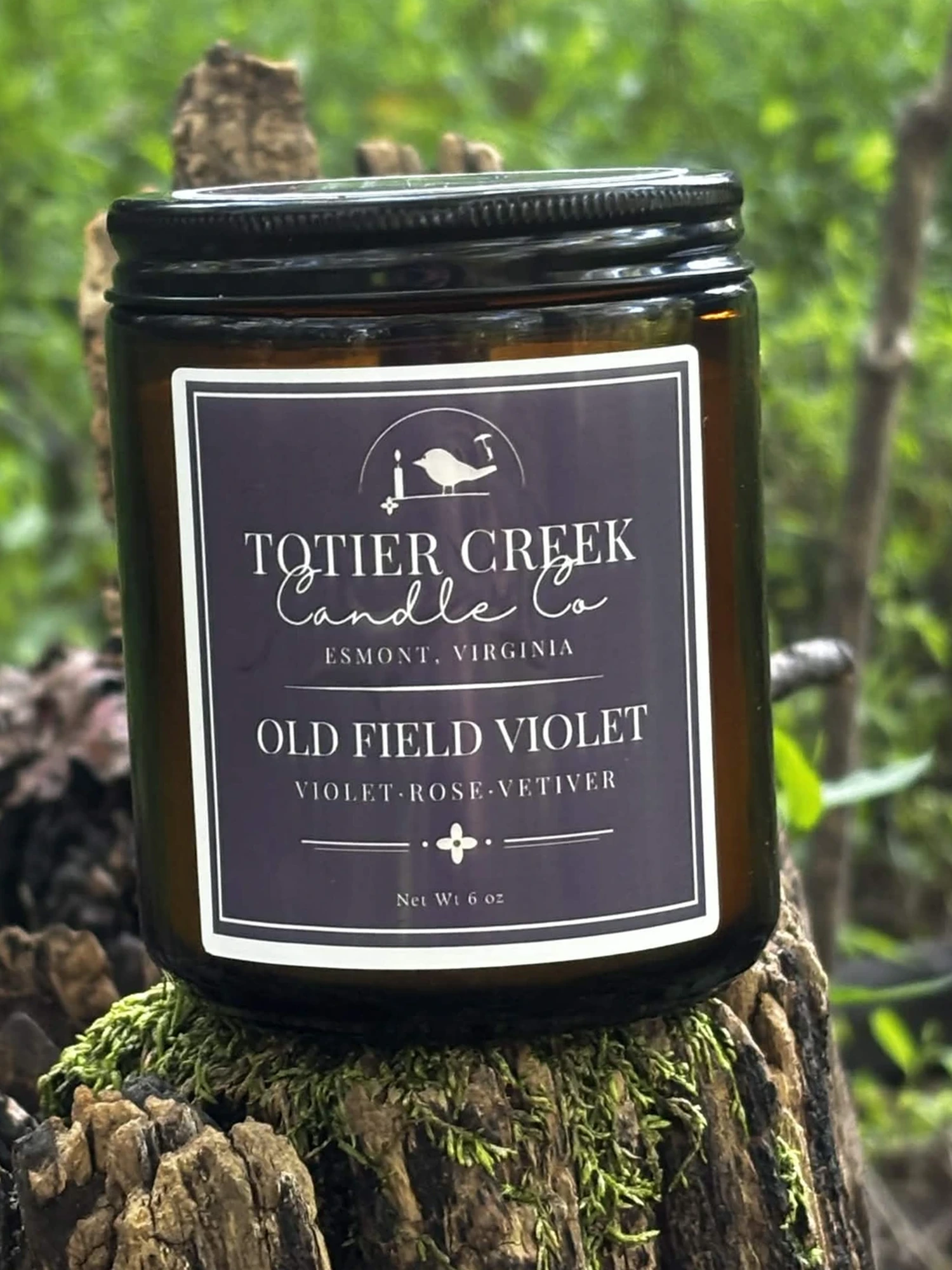 Old Field Violet candle in an amber jar on a mossy stump in the woods
