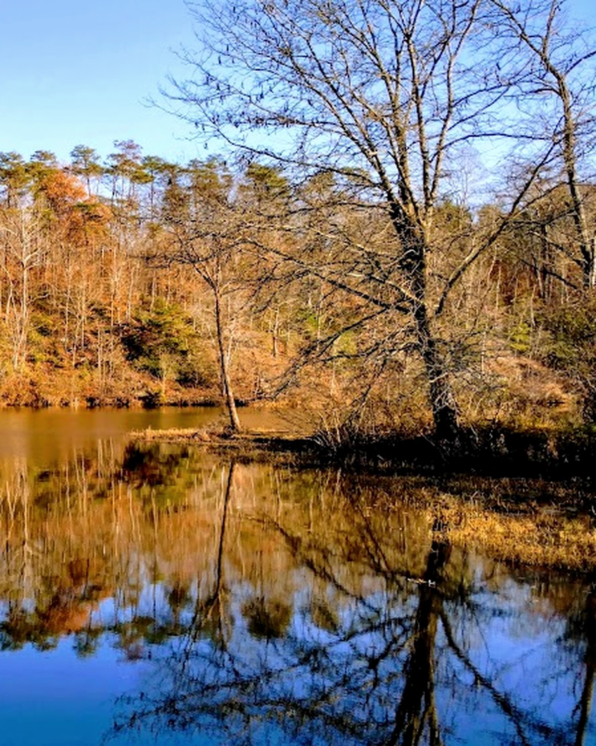 Totier Creek Reservoir at golden hour, trees reflected in still water